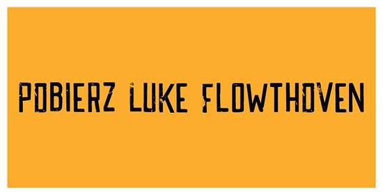 POBIERZ Luke Flowthoven